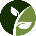Leaf Pruning Pros