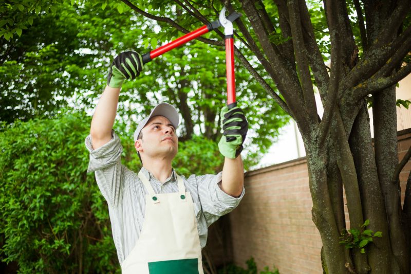 Leaf Pruning Service