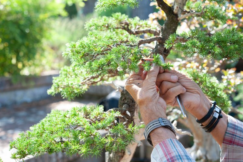 Leaf Pruning
