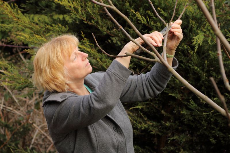 Leaf Pruning