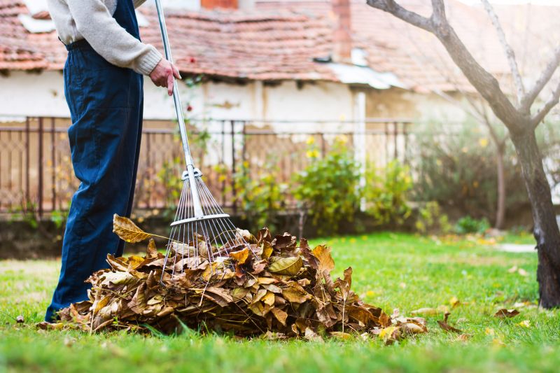 Using Leaf Blowers and Rakes