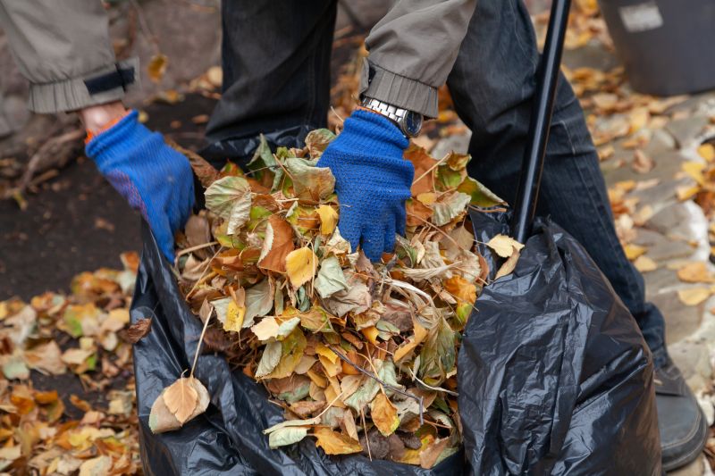 Bagging Fallen Leaves
