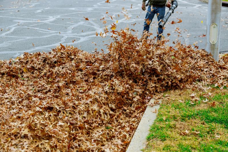 Leaf Blowing for Efficient Cleanup