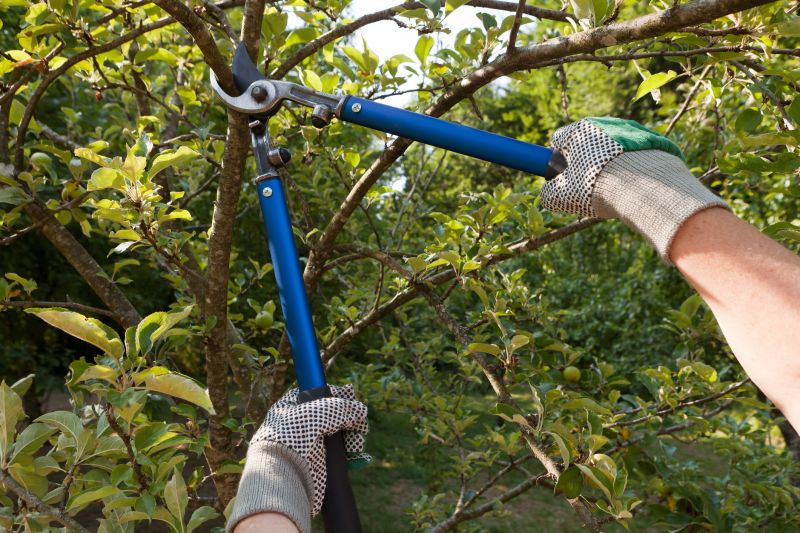 Leaf Pruning