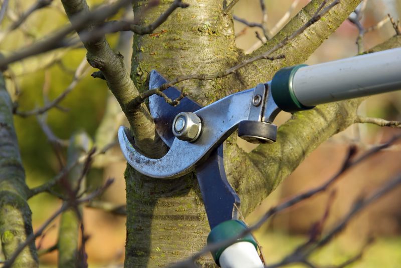 Leaf Pruning