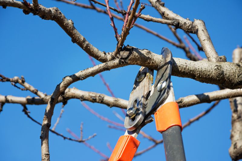 Leaf Pruning