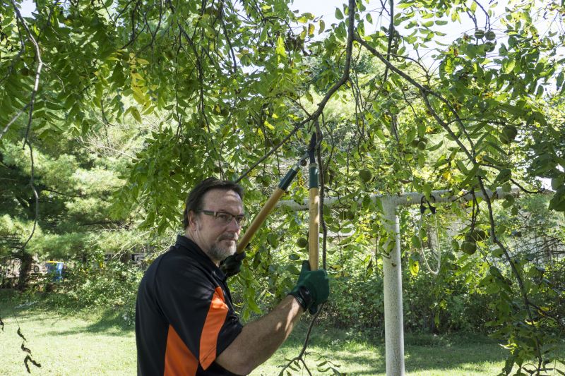 Leaf Pruning