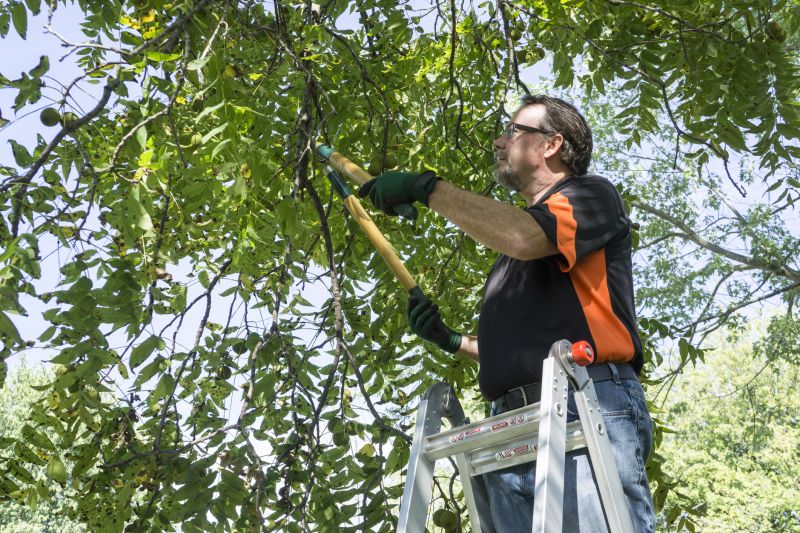 Leaf Pruning