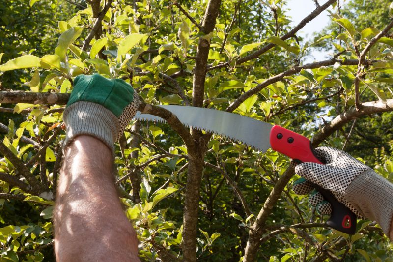 Leaf Pruning