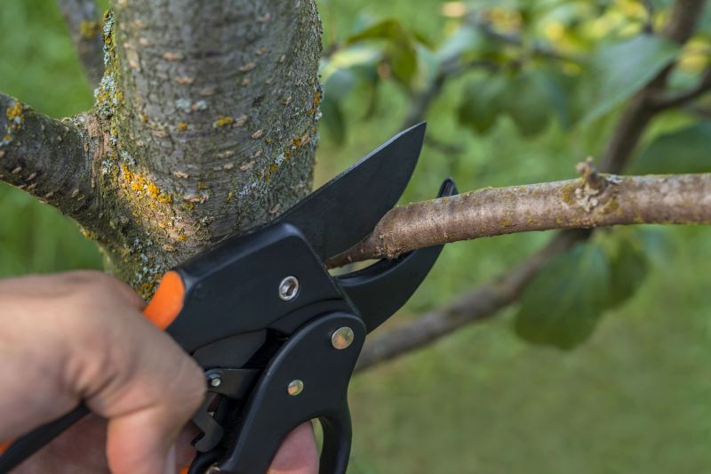 Leaf Pruning