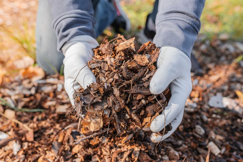 Mulching Leaf Prunings