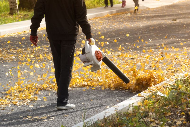Efficient Leaf Disposal